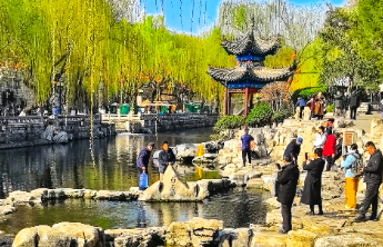 壹点日历3.13|枝头新绿报春早，心有暖阳无惧遥！早安