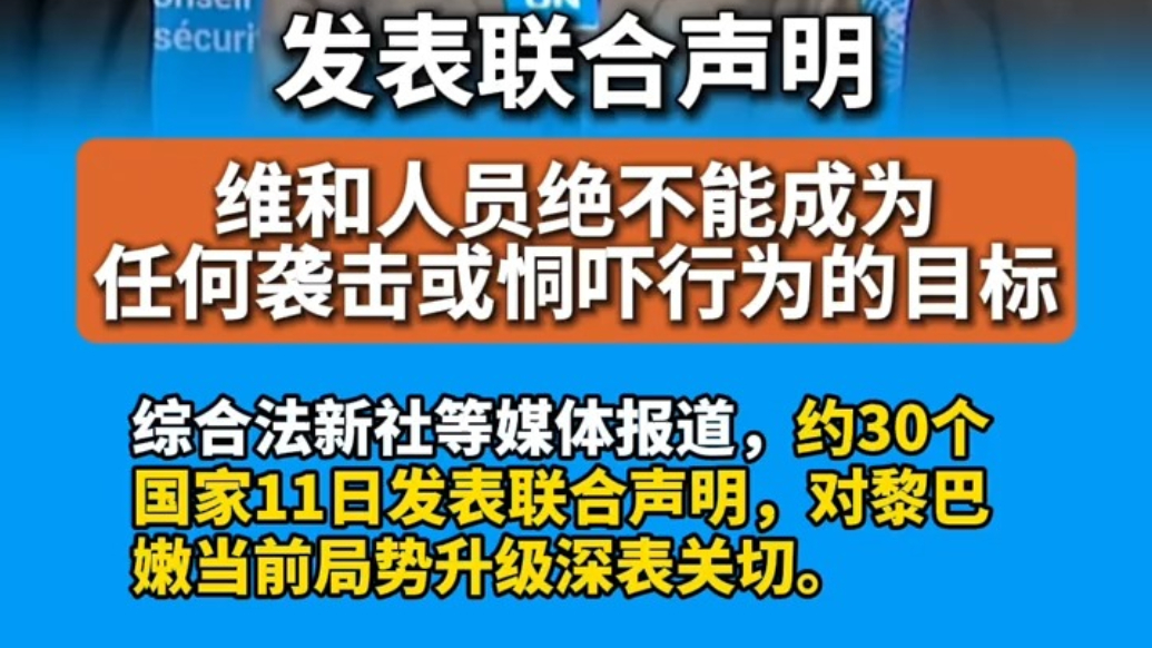 英国、法国、德国、意大利、西班牙等约30国发表联合声明：维和人员绝不能成为任何袭击或恫吓行为的目标