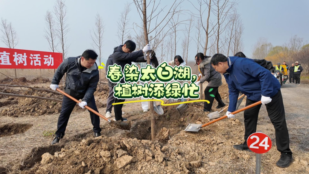果然视频｜春染太白湖，植树添绿忙