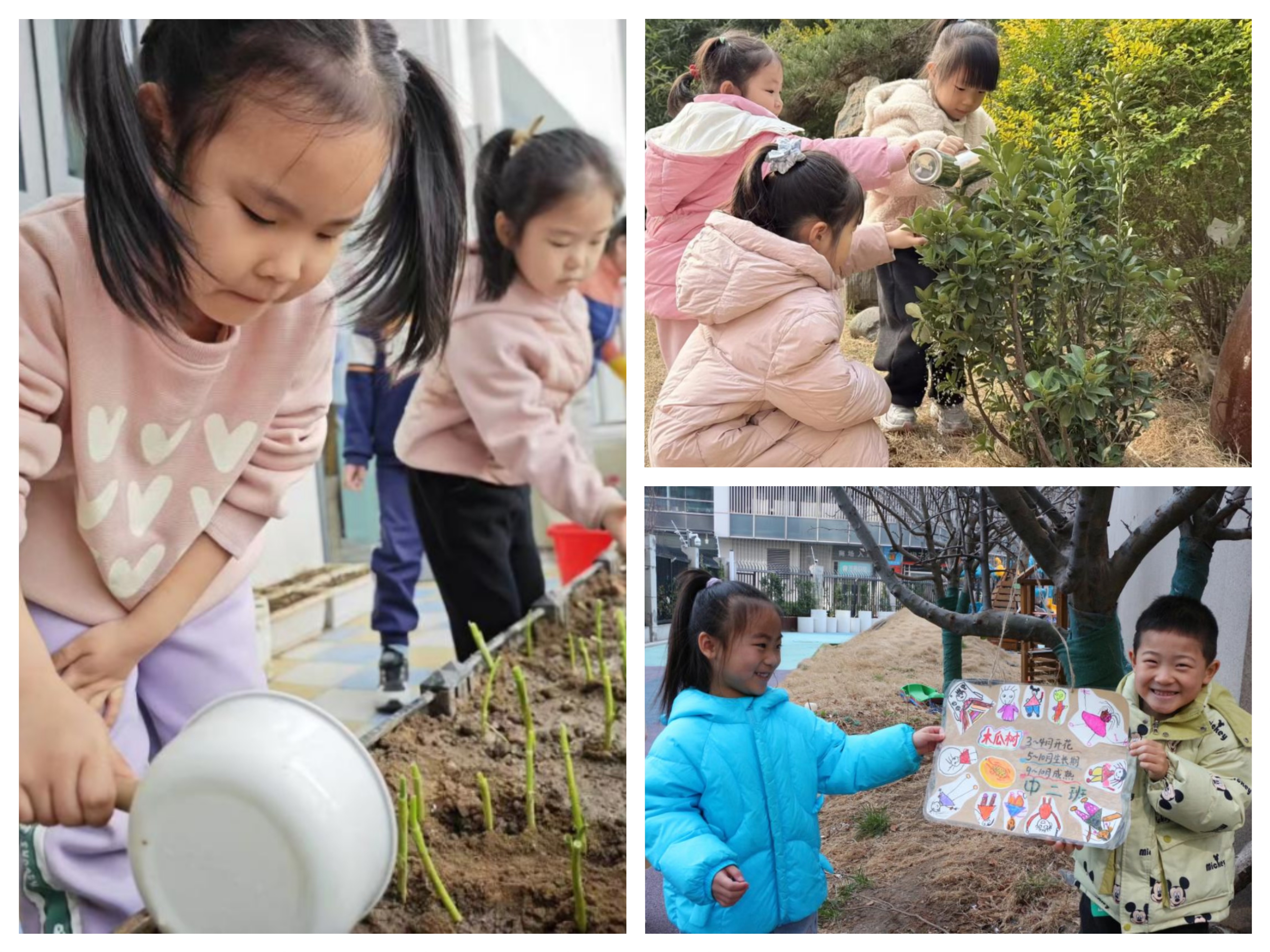 历下区启然幼教集团开展植树节活动：播种绿色梦想 培育劳动习惯