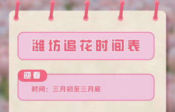 花开何处 何时最美 | 2026潍坊城区赏春全攻略