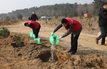 威海市审计局：植树添绿正当时，志愿服务践初心