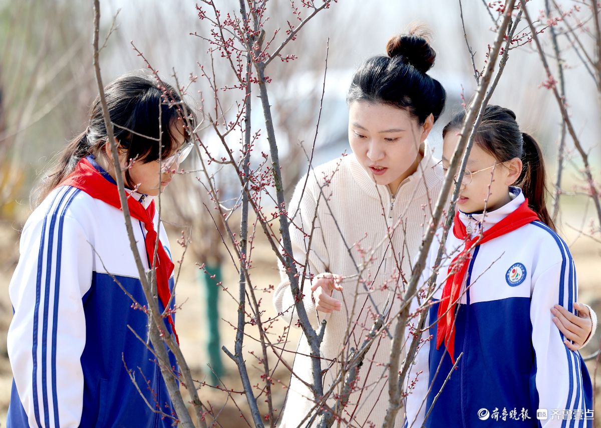 春日植绿悟初心，自然课堂润童心  