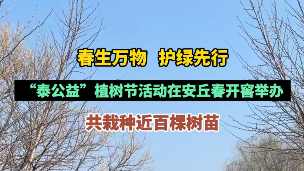 果然视频|“泰公益”植树节活动在安丘春开窖举办