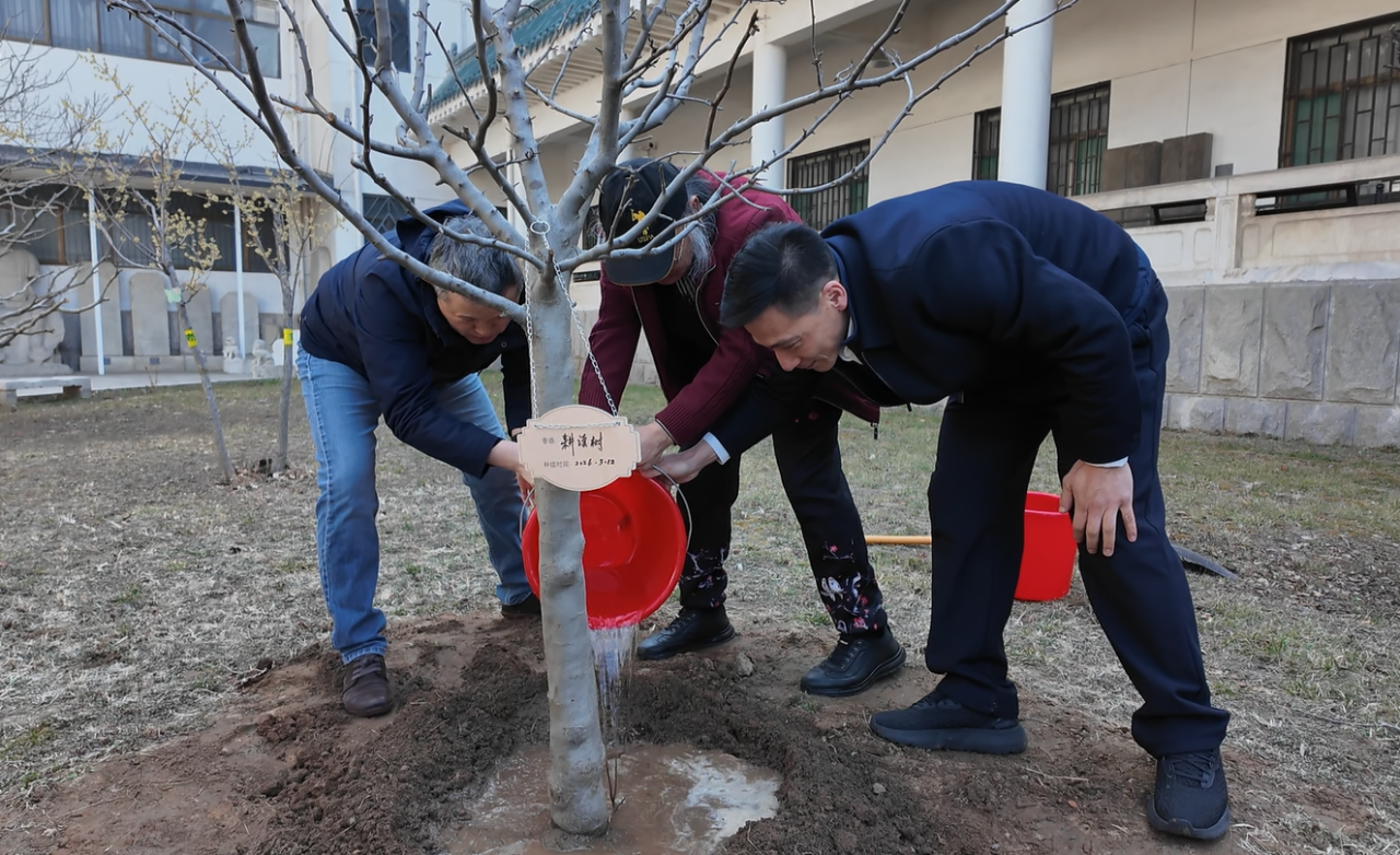 4棵“名片”树扎根文化沃土，潍坊文旅举办植树节活动