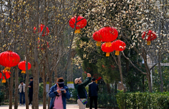 壹点日历3.14|拥抱晨光，让快乐在指尖跳舞！早安周末
