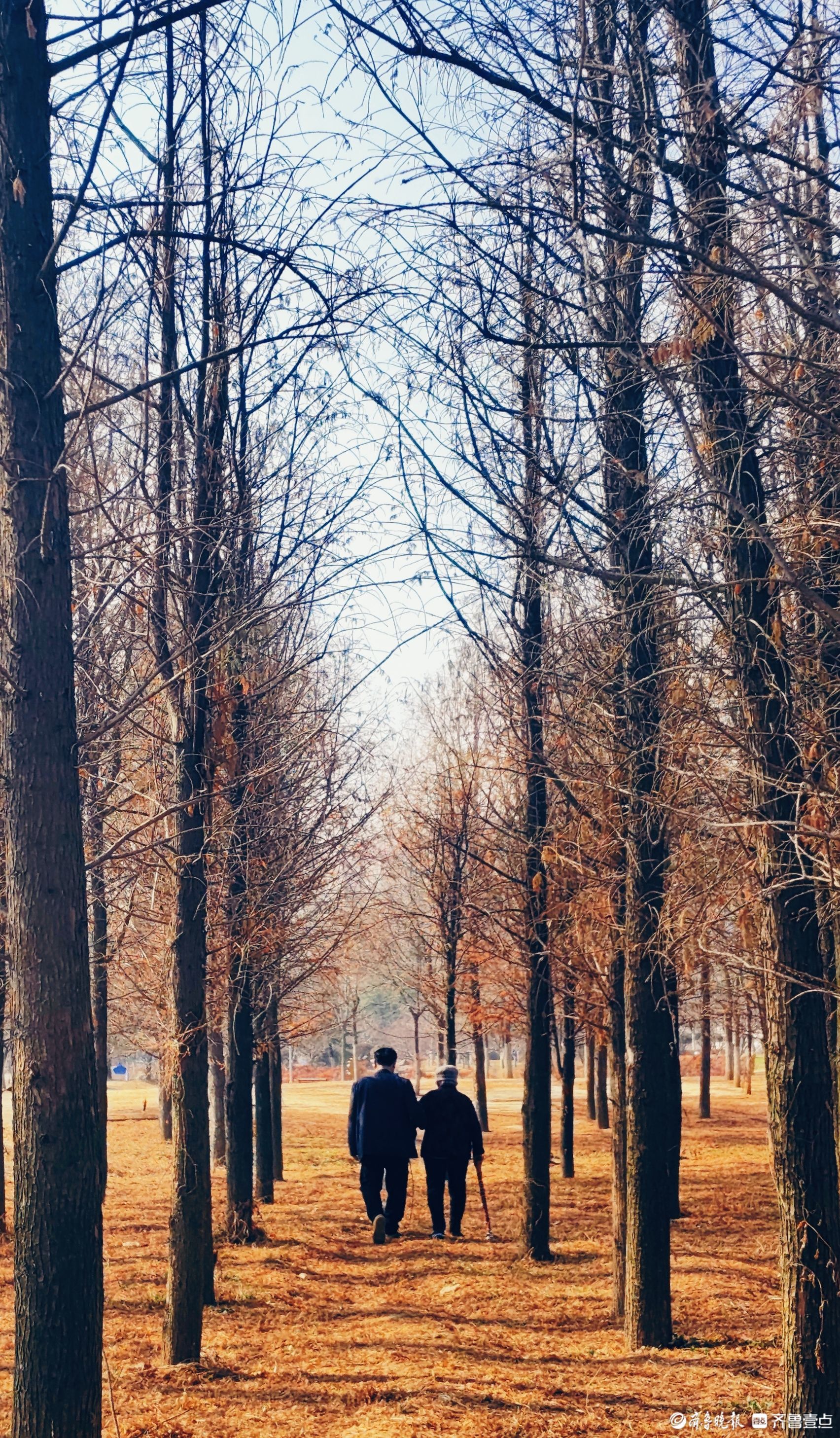 新春随手拍|相伴向暖