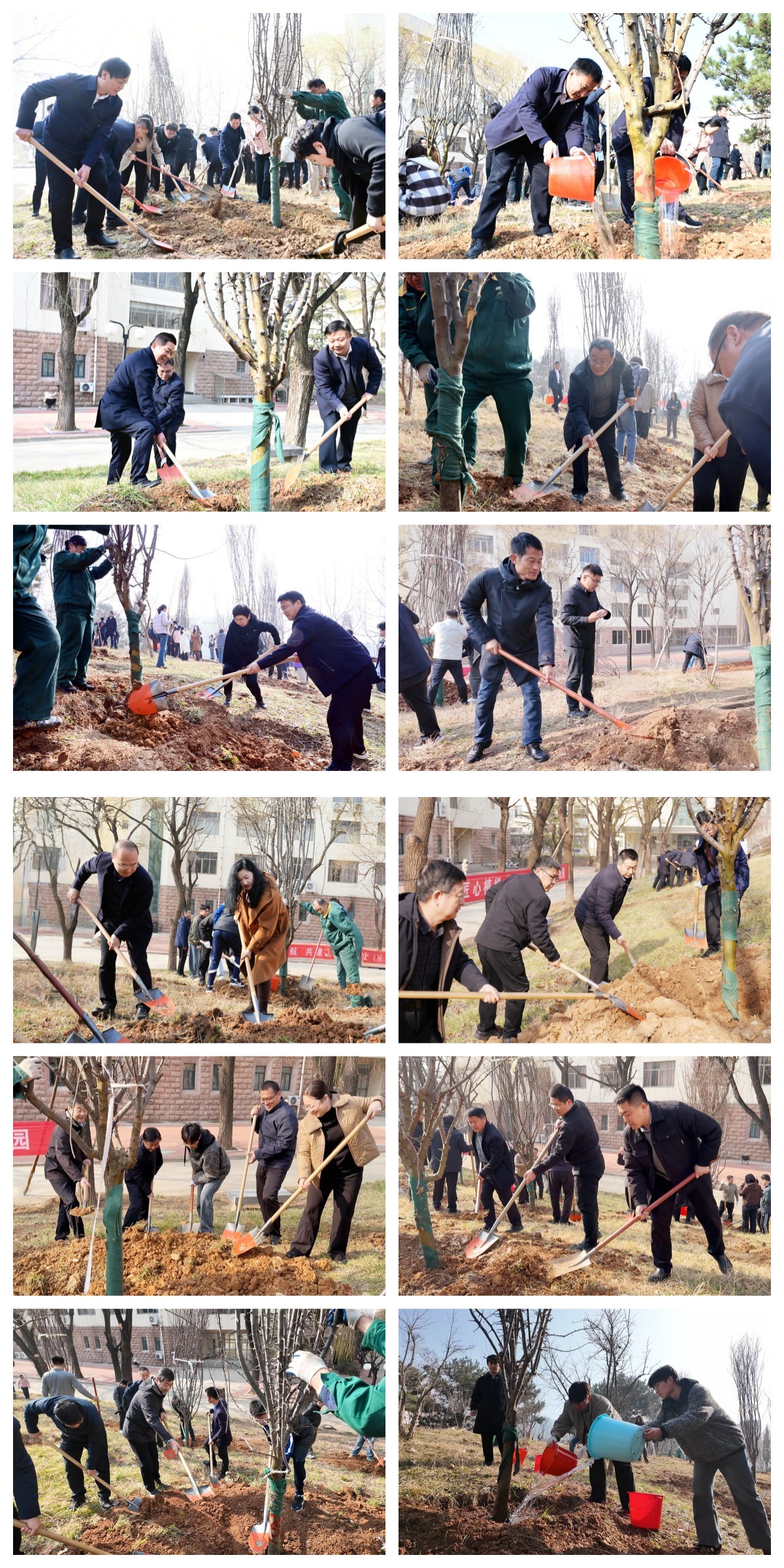 践行绿色发展理念！泰山学院开展春季义务植树活动