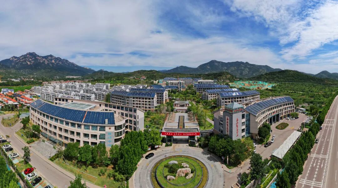 喜报！泰安市中心医院（含泰山医养中心）17个案例入选省级医养健康典型，彰显三甲医养担当