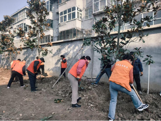 党建引领添新绿 同心共建美家园｜新泰市青云街道银河社区开展植树节主题植树活动