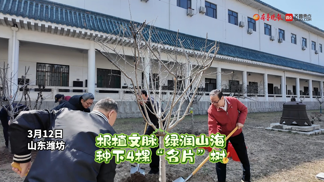果然视频|4棵“名片”树扎根文化沃土，潍坊文旅举办植树节活动