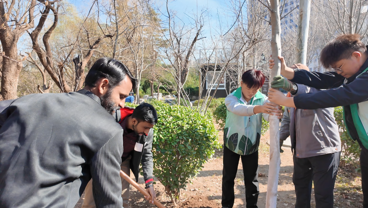 中外青年在潍坊国际和平主题公园共植和平树