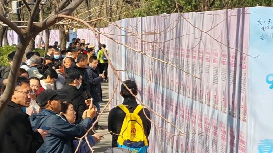 果然视频|马上有对象，一起上春山！千佛山相亲大会喊你来脱单