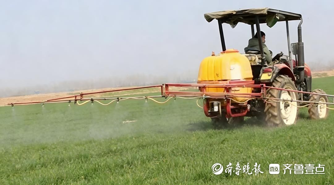 菏泽郓城：春管到田头 丰收有奔头