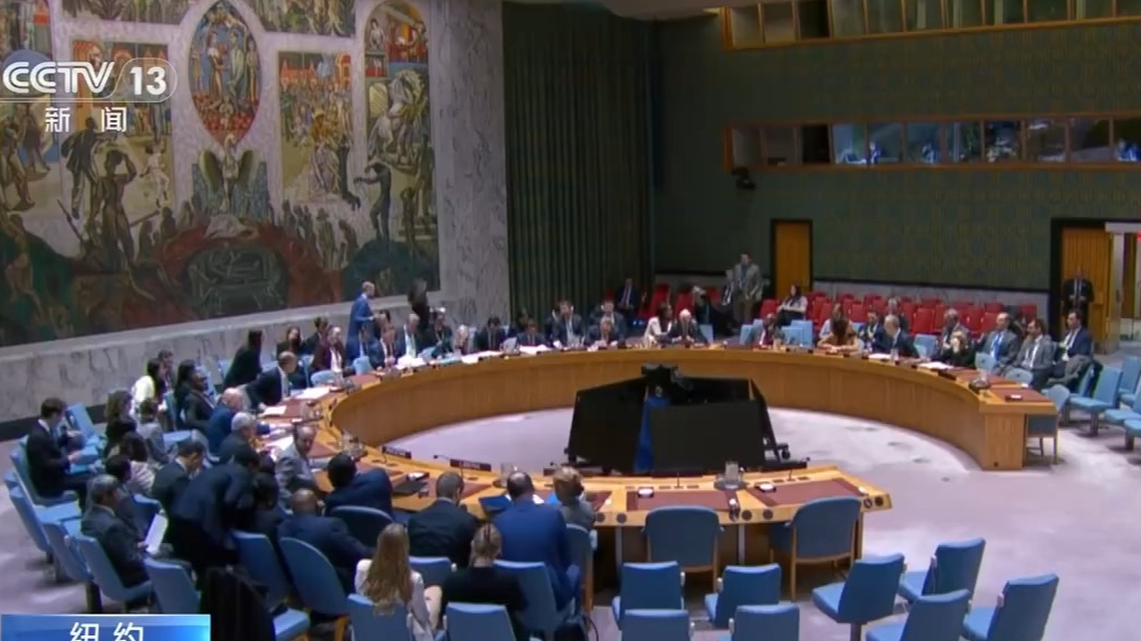 美强推安理会对伊制裁会议，中俄投反对票硬刚美国