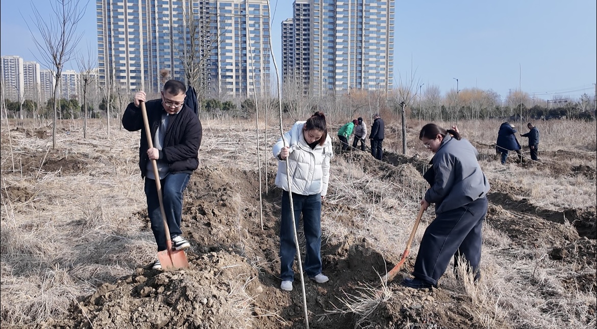 共植绿色希望 共建美丽文庙——宁阳县文庙街道开展2026年春季植树节系列活动