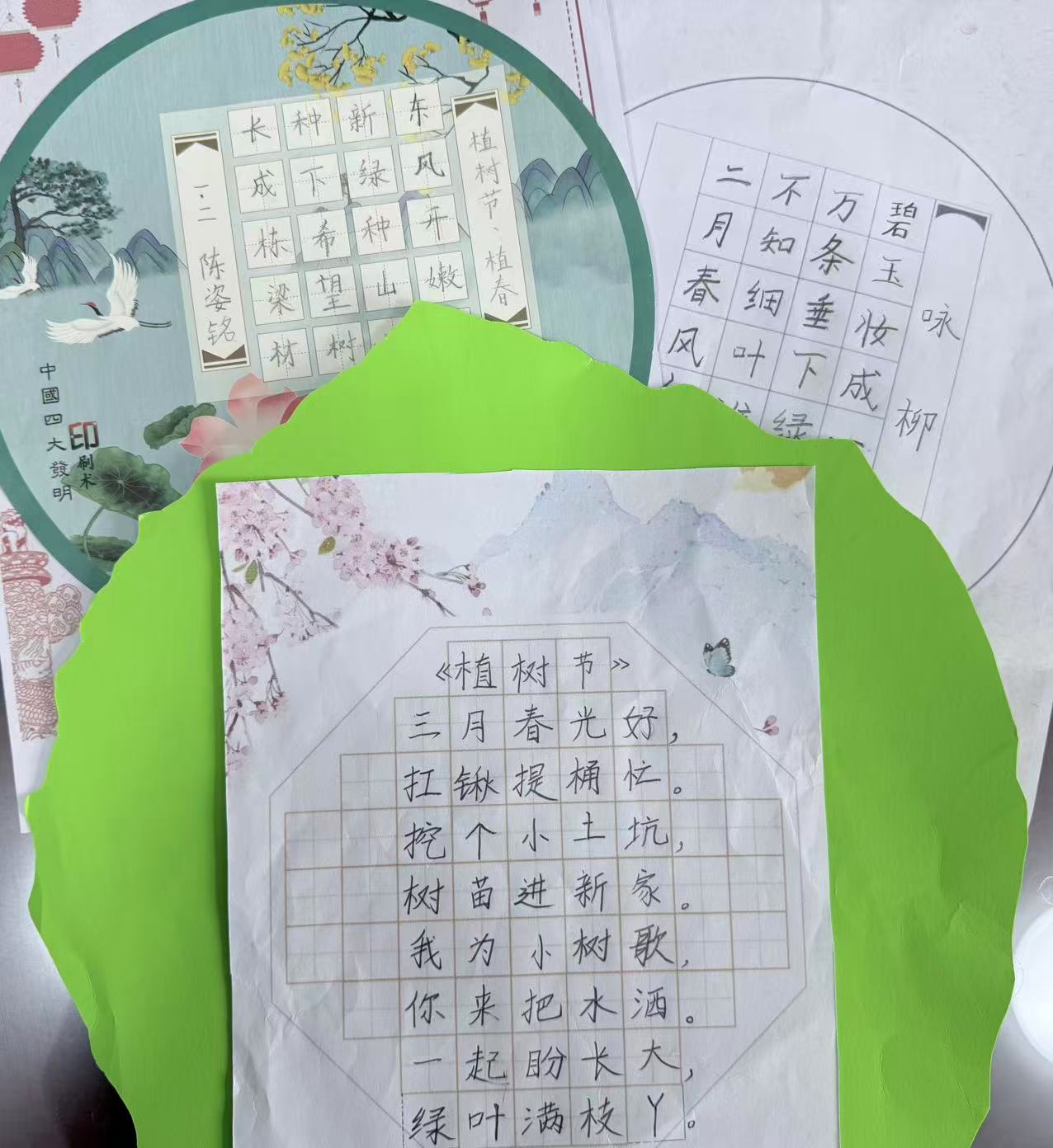 利津县陈庄镇中心小学：“植”此青绿，“树”写春天