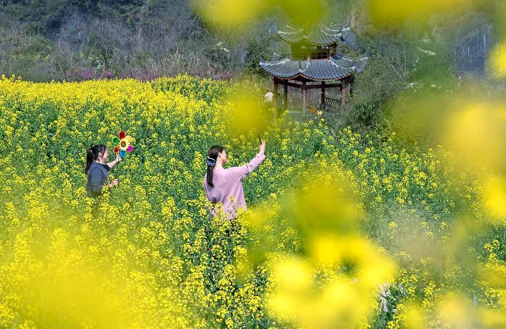 花粉过敏能否“放着不管”，婴幼儿症状如何分辨？