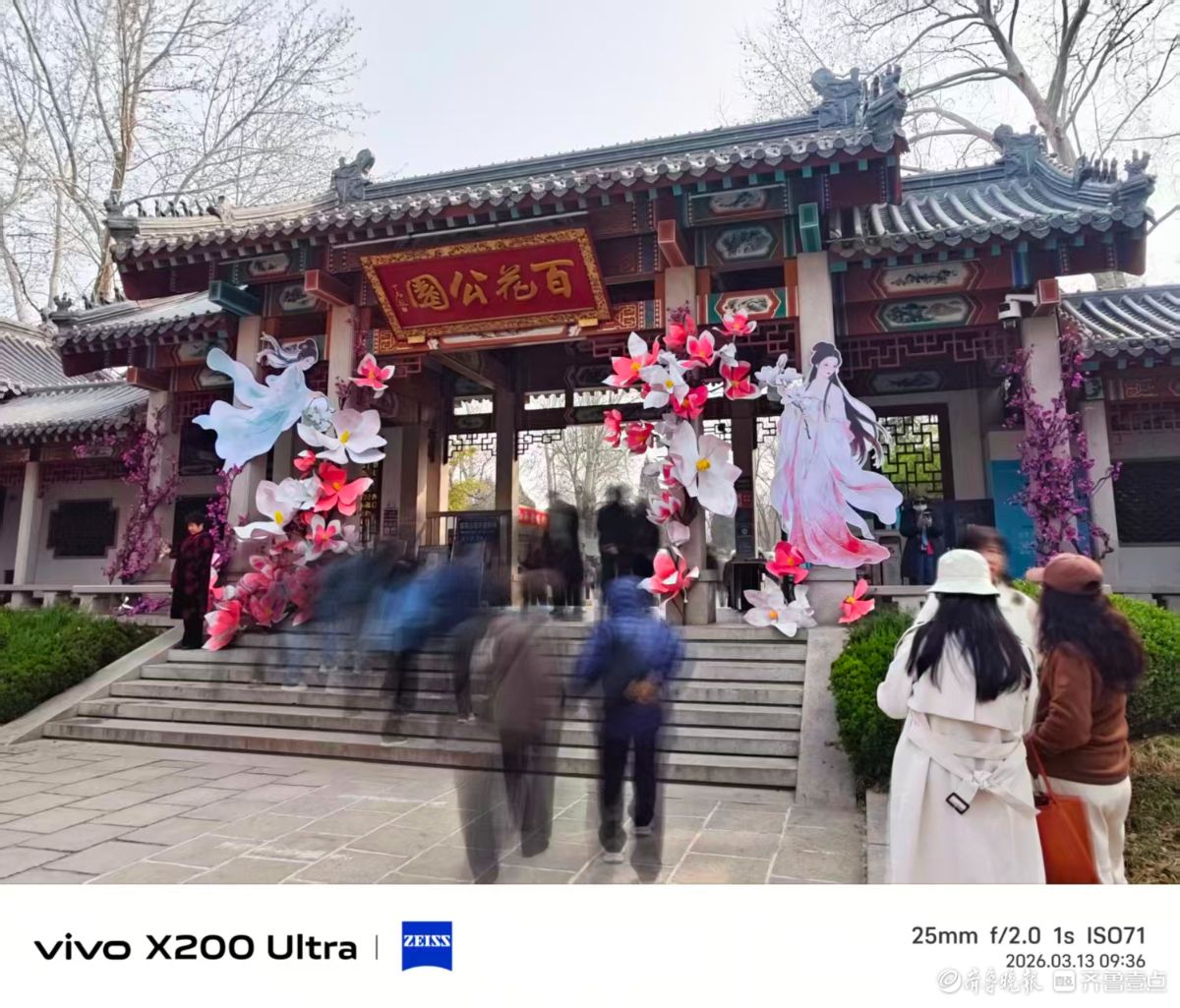 百花公园玉兰大道，我在记录