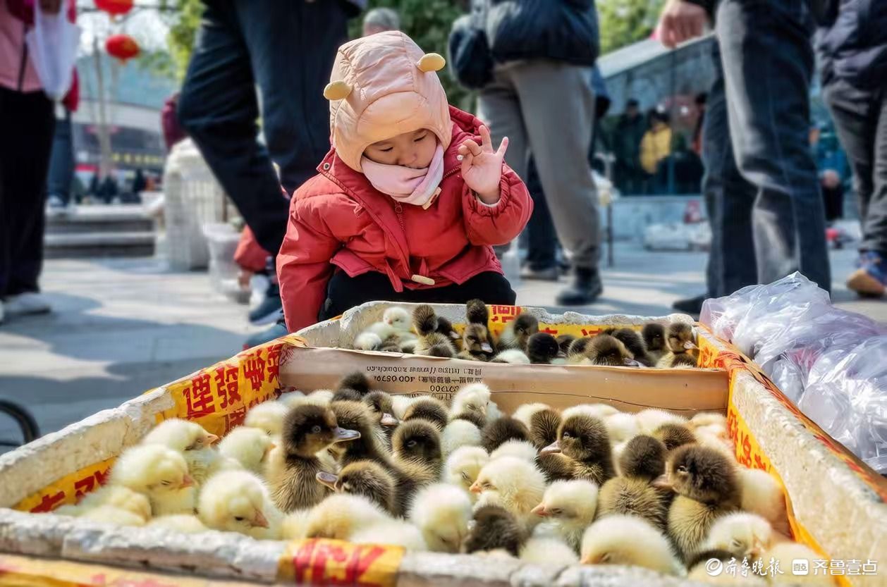 俞见|集市上的算术课