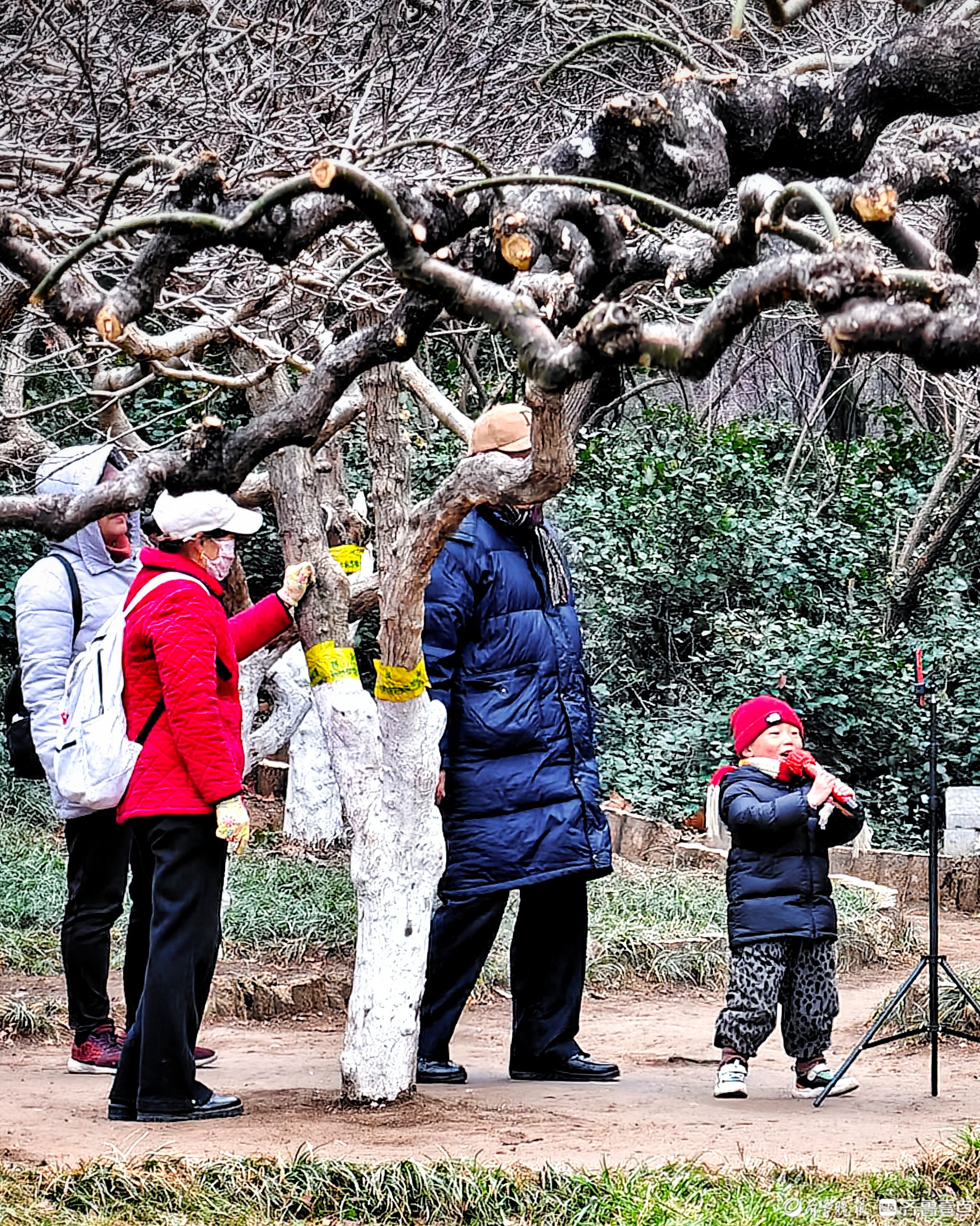 春天的百花公园，小朋友边唱边跳