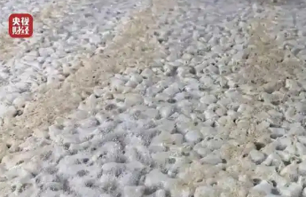 河南获嘉县市场监管局：“漂白鸡爪”涉事企业已停产！