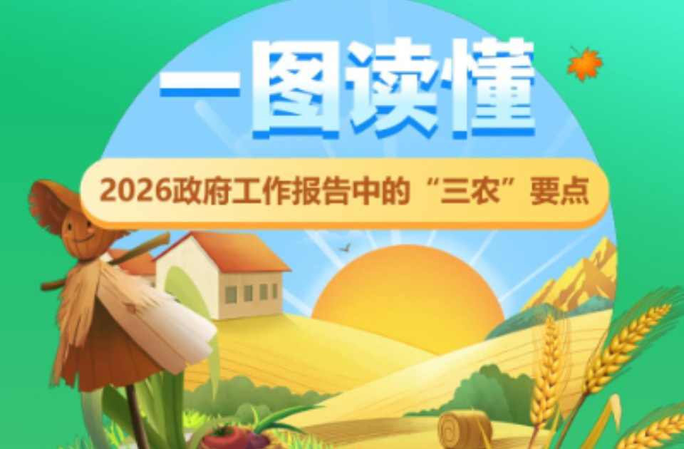 一图读懂｜2026政府工作报告中的“三农”要点