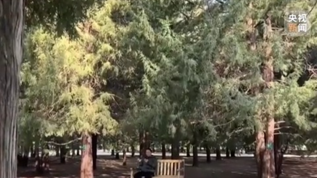 花粉季提前，城市治理如何跟上？