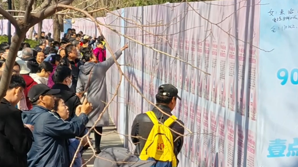 果然视频|春风有信，花开有期！三月三千佛山相亲大会喊你来脱单