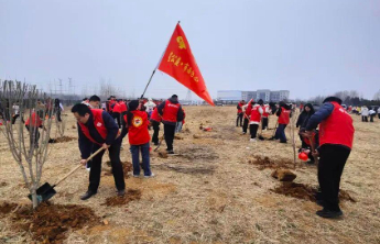【公益】泰安福彩开展“栽种绿意 志愿先行”植树活动