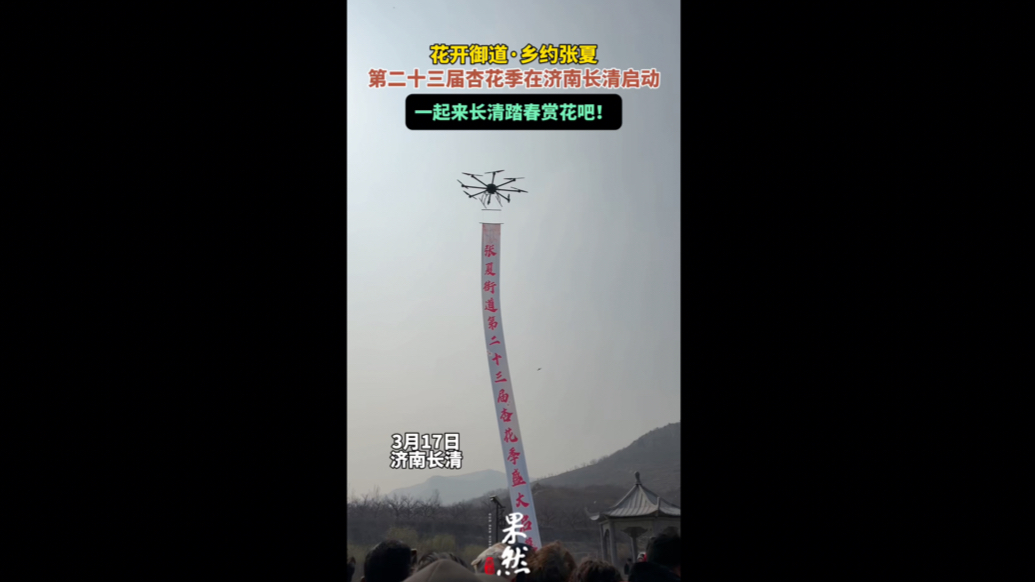 果然视频|花开御道·乡约张夏，第二十三届杏花季在济南长清启动