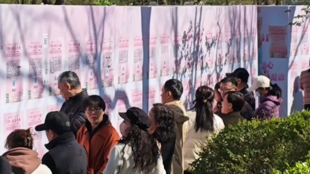 果然视频|春风十里不如你！三月三千佛山相亲大会报名火热进行中