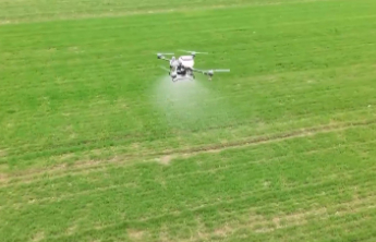 央视关注丨晚播麦遇上及时雨 山东精细化田管助小麦“强筋健骨”