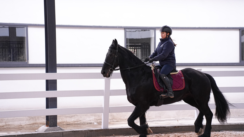 专题丨以马为梦，驭马而行！探访青岛农业大学马业科学专业 