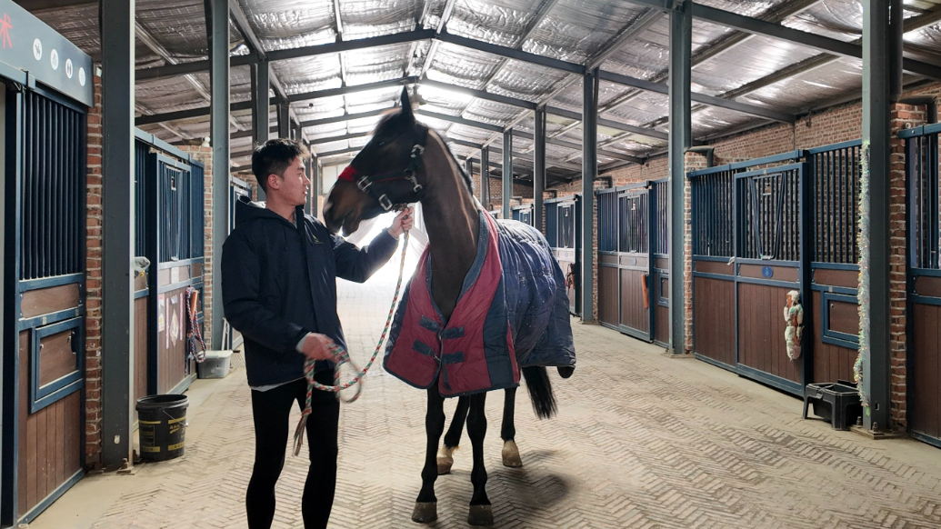 专题丨以马为梦，驭马而行！探访青岛农业大学马业科学专业 