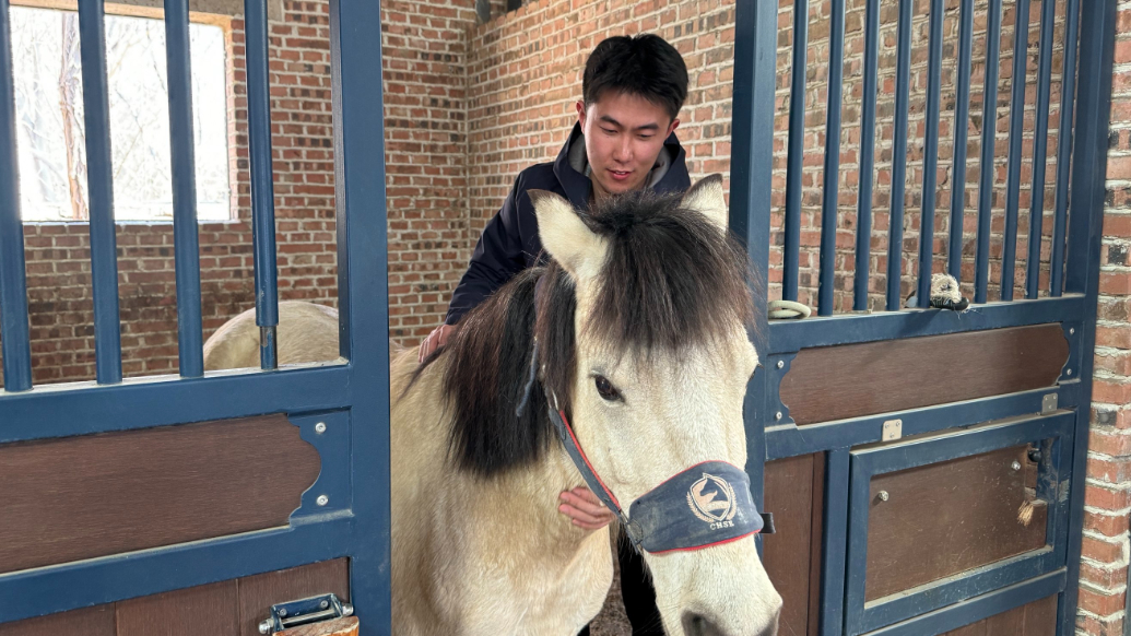 果然视频｜与马相处小技巧：看耳朵眼睛辨情绪，屁股后面站不得