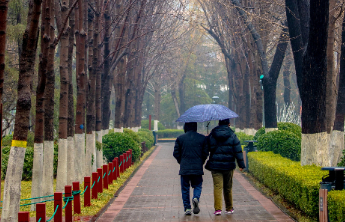 壹点日历3.19|不慌不忙稳步前行，时间给努力最好答案！早安