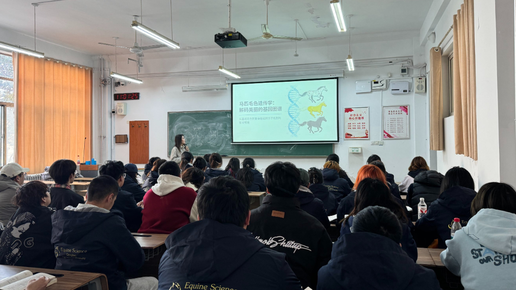 专题丨以马为梦，驭马而行！探访青岛农业大学马业科学专业 