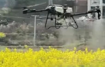 油菜洒药毒死蜜蜂，岂能怪养蜂未报备？