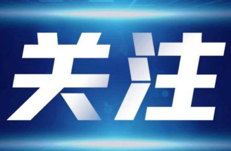 以智赋能 以数提效——山东东营打造数智社保服务新路径