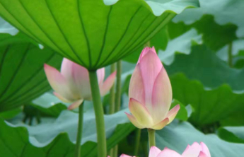 山东融汇集团阳城二号井召开综合防尘项目交流会