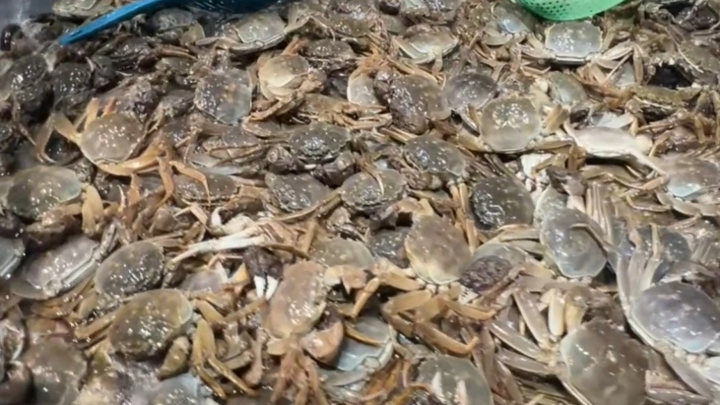 果然视频丨一座城，一片海，一味威海海鲜人间至鲜