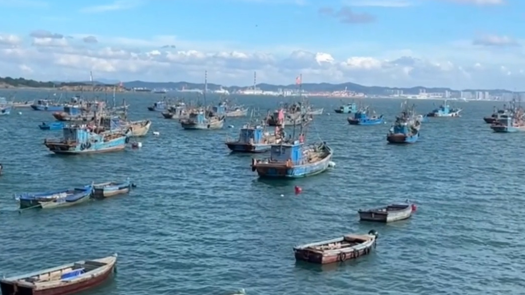 果然视频丨威海海鲜里，藏着一座城市的自由与鲜美时光