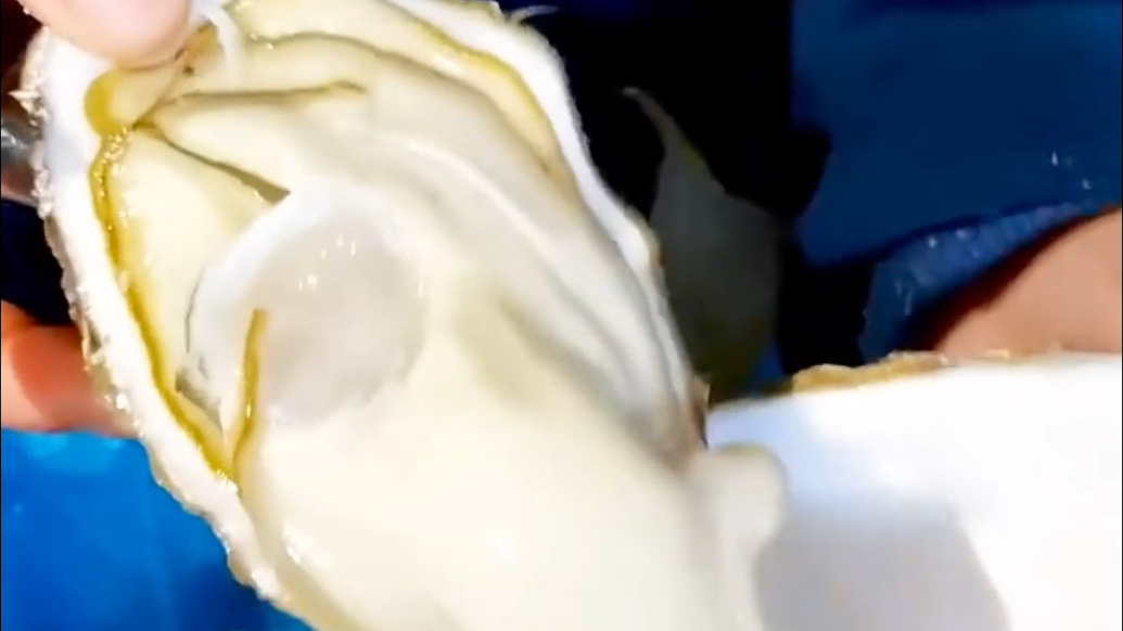 果然视频｜一位济南人吃懂了威海海鲜的至鲜本味