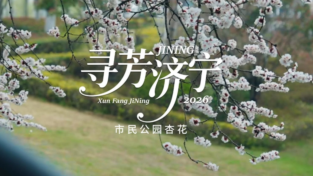 果然视频|寻芳济宁·市民公园杏花