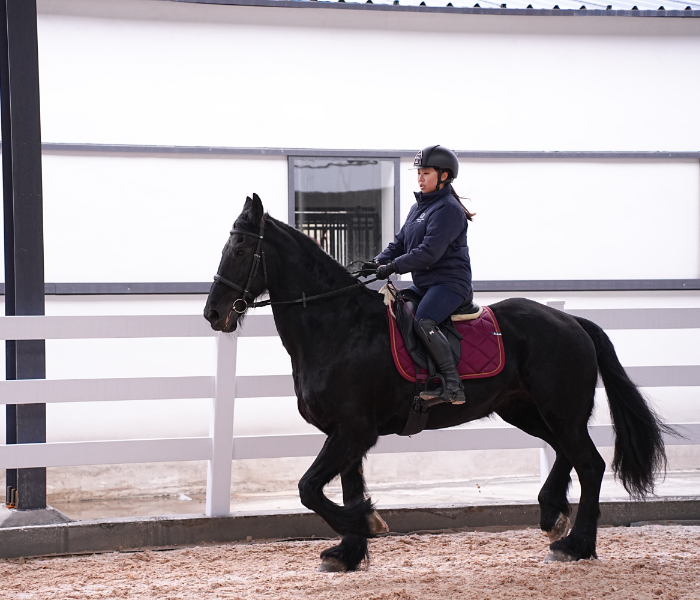 “学马业=骑马？”马年之际，齐鲁晚报·齐鲁壹点记者走进青岛农业大学，解锁这门小众专业的多元魅力。作为国内首个设立马业科学本科专业的高校，学校构建“产学研用”一体化培养体系，让一批批学子从初识专业的迷茫，到扎根赛道的笃定，在与马相伴的时光里练就过硬本领，成为驰骋在现代马业赛道上的新一代“新农人”。