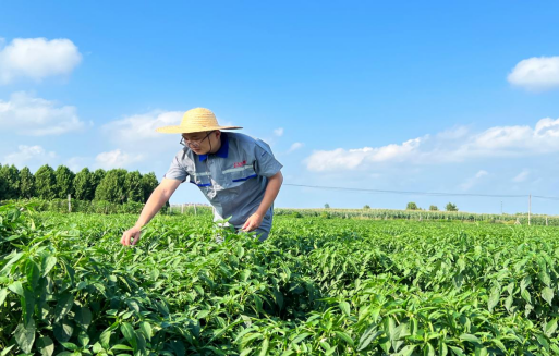 乡村富民・齐鲁好品 品牌赋能行动——十七佐餐长城辣椒酱