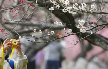 春分减重正当时！为什么说春分是减重黄金期？