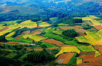 中央财政强农惠农富农政策清单发布，这些补贴可领