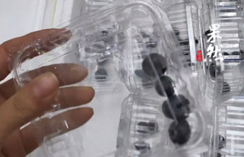 直播间买10盒蓝莓，到手每盒不足五颗！多名消费者称遭遇同款骗局